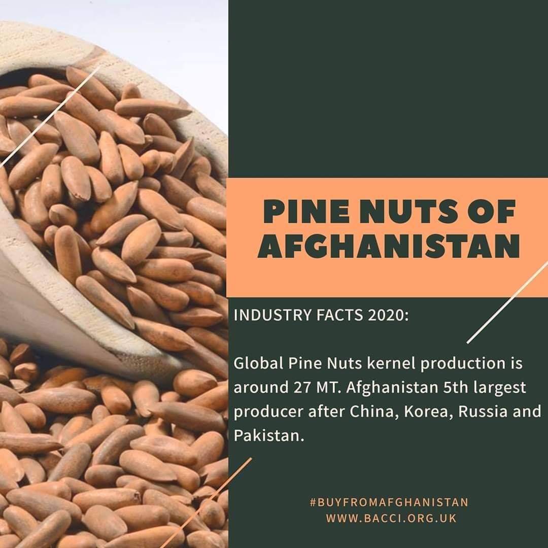 BuyFromAfg's tweet photo. Buy from #Afghanistan 

Let's save the people of Afghanistan from hunger and poverty through trade not donations. https://t.co/l2tK38dP1T