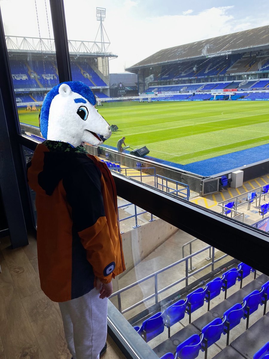 .ıl ADAM WRIGHT lı. tweet media