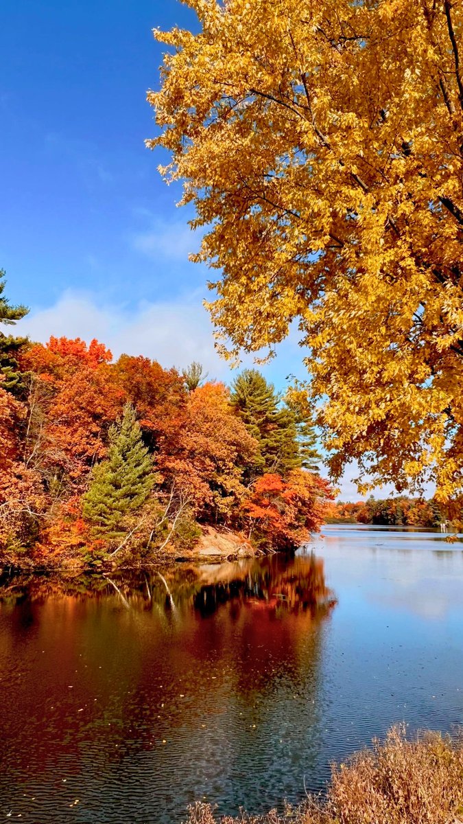 This is the perfect fishing spot to enjoy the quiet and fall tranquility 🧘🍂
#AutumnVibes #AutumnPhotography #AutumnVariations #autumniscoming #fishinglife #fishing #relaxing #NaturePhotography #nature