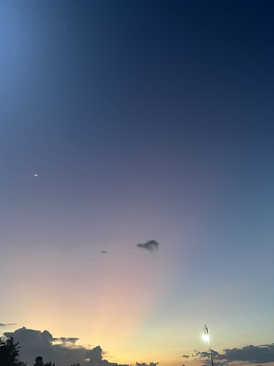 có những việc k phải mình cứ quyết định mà đc!