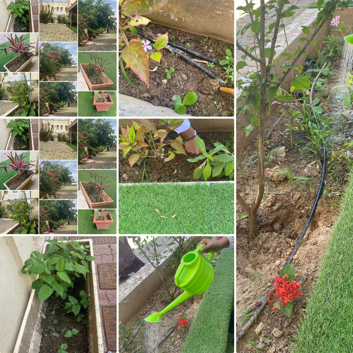 مدرسة ألسان بنات ١_١٢ (@alsanschool_1) on Twitter photo استثمار حصة النشاط
أهمية يوم الشجره حيث تم زرع وسقي الاشجار.
تحت إشراف:
أ.منى جعبوب معلمة الفنون التشكيلية
#فعاليات_تعليمية_ظفار
#تعلم__مستدام
#المدارس_الخضراء_العمانية
<a href="/Omanbeah/">بيئــة | be’ah</a> استثمار حصة النشاط
أهمية يوم الشجره حيث تم زرع وسقي الاشجار.
تحت إشراف:
أ.منى جعبوب معلمة الفنون التشكيلية
#فعاليات_تعليمية_ظفار
#تعلم__مستدام
#المدارس_الخضراء_العمانية
<a href="/Omanbeah/">بيئــة | be’ah</a>