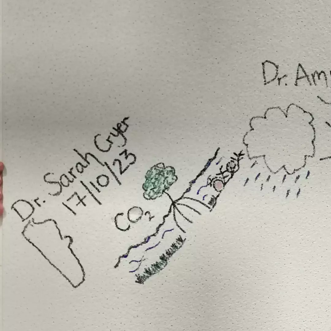 Sarah Cryer tweet media