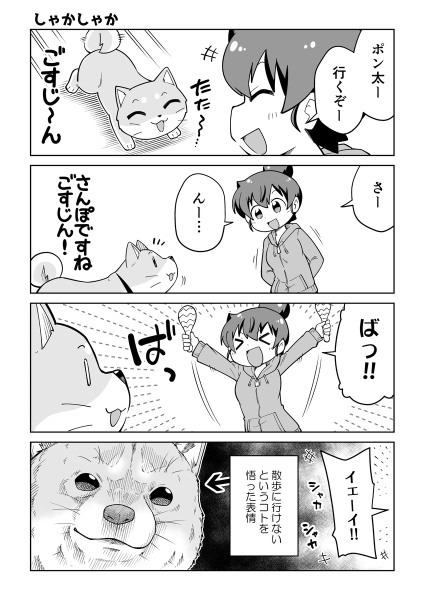今日はハロウィンですねー! …というワケで ごすじんがポン太にイタズラするマンガをどうぞ!  #ごすじん大好きポン太の憂鬱