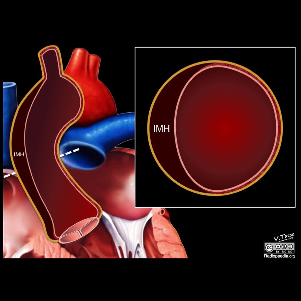 Andrew Dixon tweet media