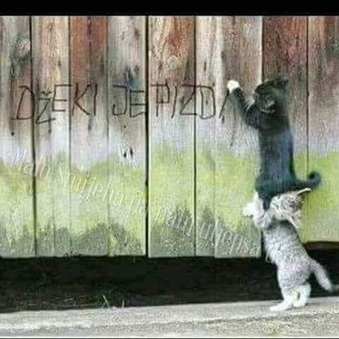 F9wcTMcW4AASVAr?format=jpg&name=small