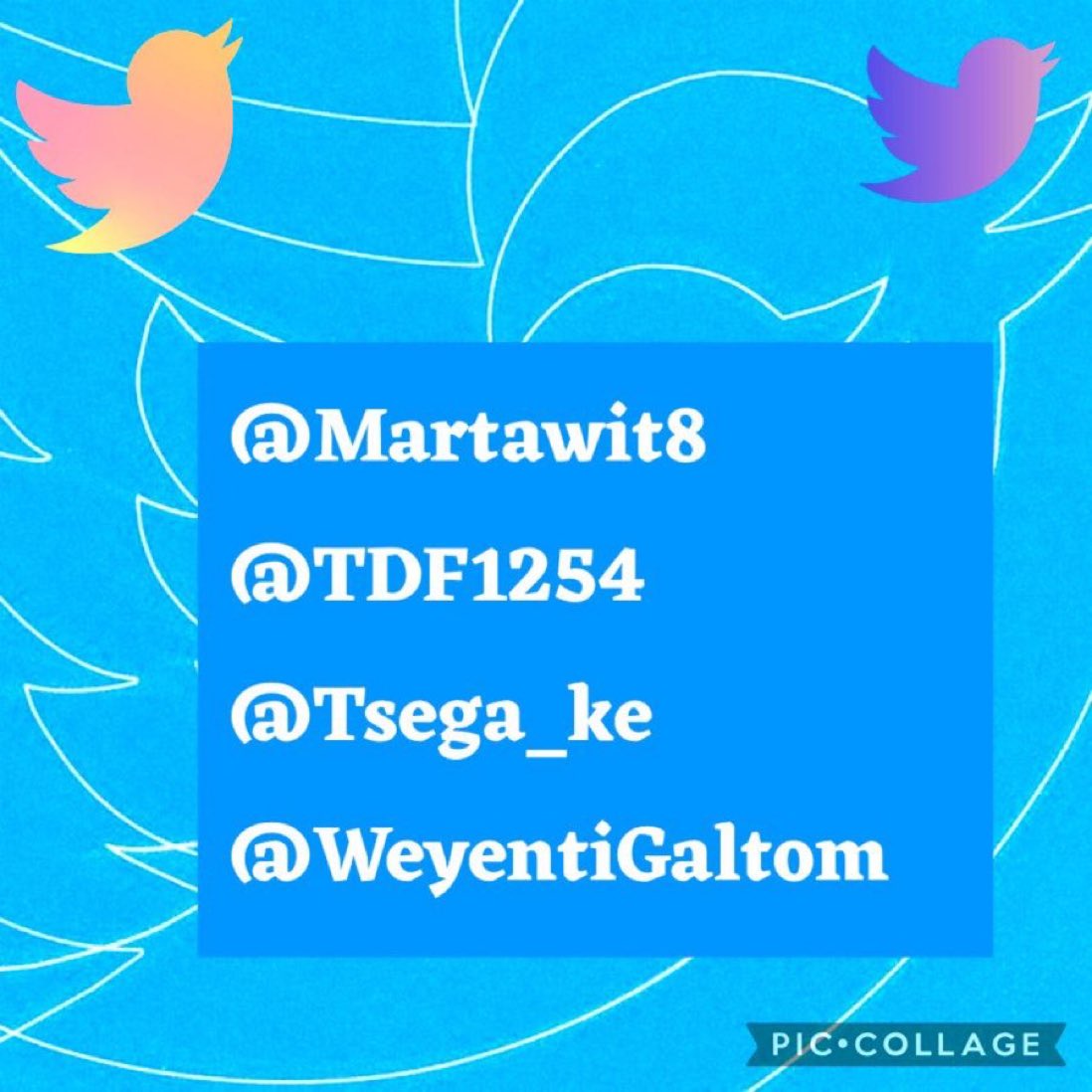 Dear ⤵️
@X @XCreators 
@elonmusk
@ElonMuskAOC
@XSpaces
@TwitterDesign 
We are kindly asking you to #Unsusspend the attached Justice Seekers accounts. @Martawit8
@TDF1254 
@Tsega_ke  
@WeyentiGaltom 
#Justice4TigrayGenocide 
@Abadit_ha