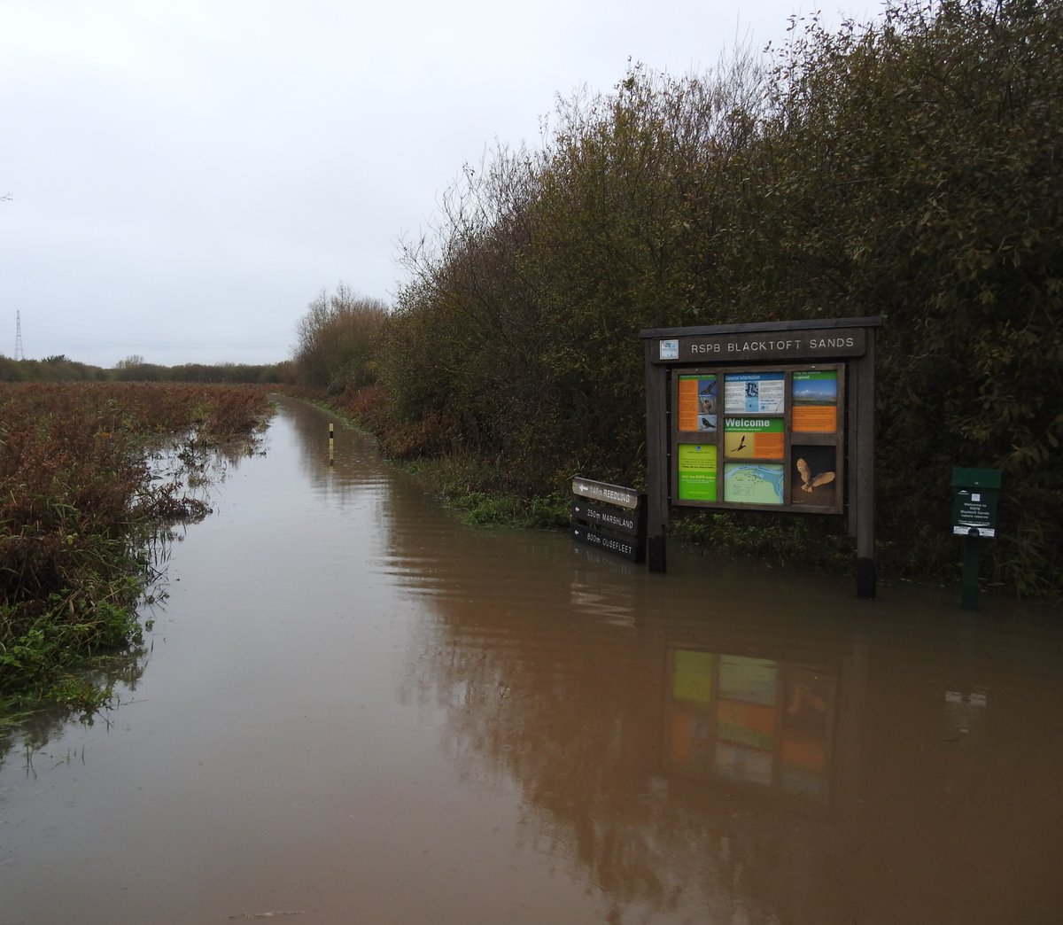 3rd big tide in as many days today impounded by a huge freshwater flow down the river means we are still well and truly flooded with the reserve closed until the water relents. Floodplain doing what it should but wish it could not do it quite so much at the moment! @humbernature