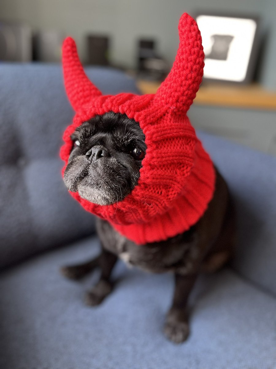 Ralph and all at RP wish you all a Happy Halloween!! Thinking of treating yourself to a new home? Please contact us on 01244 322 322 rickittpartnership.co.uk #estateagents