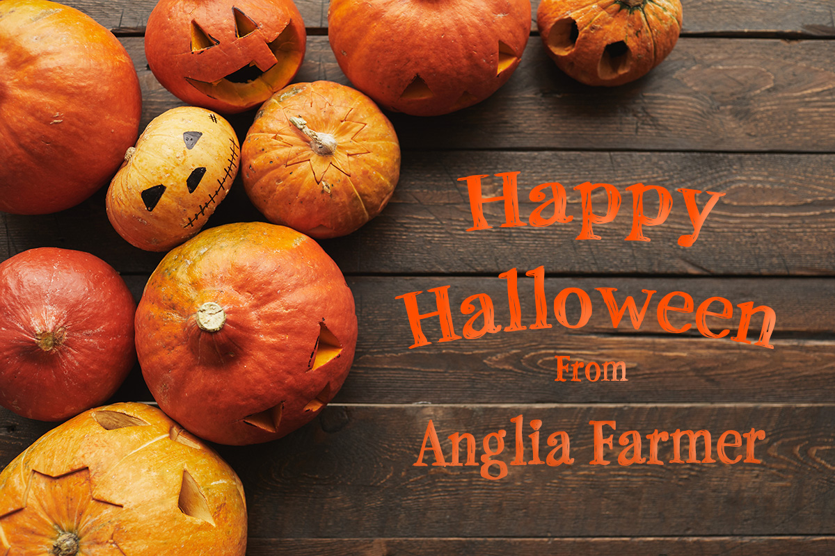 #Halloween2023 #farming #Halloween