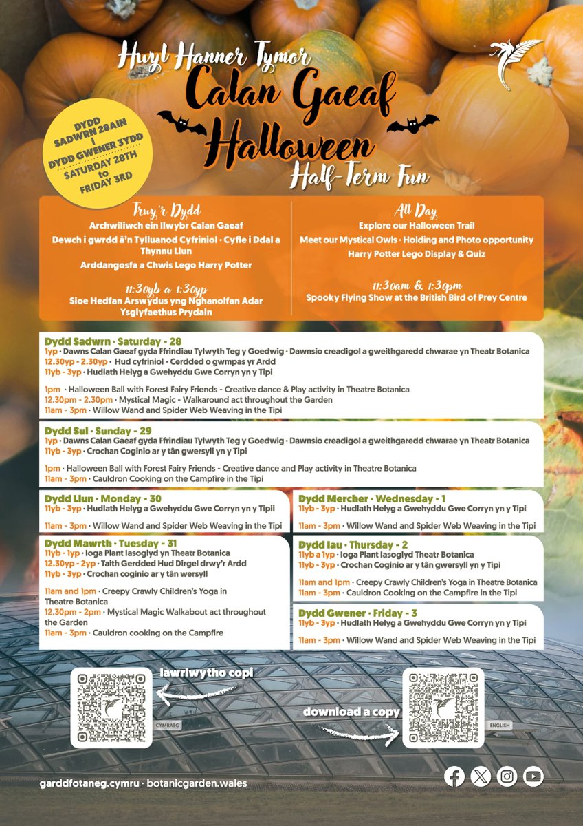 walesbotanic's tweet image. Calan Gaeaf Hapus oddi wrth yr Ardd Fotaneg Genedlaethol Cymru! 🎃

Ymunwch â ni am hwyl hanner tymor Calan Gaeaf gwych, mae llawer i'w wneud drwy'r wythnos i'r teulu cyfan - Gweler yr Amserlen 🎃

#GarddCymru #CalanGaeaf #HannerTymor #Archwilio #Cymru