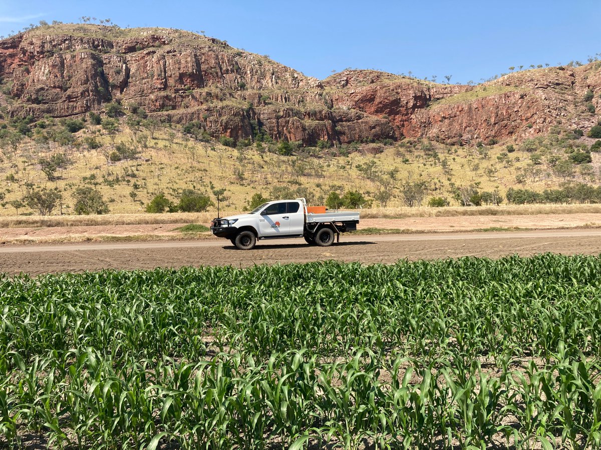 WE ARE HIRING!
ORDCO are seeking an experienced Agronomist to join our Agronomy team in January 2024.
Please see link below for more information.
seek.com.au/job/70998789ty… 
#Agronomist #ORDCO #KununurraWA #Kimberley #WesternAustralia