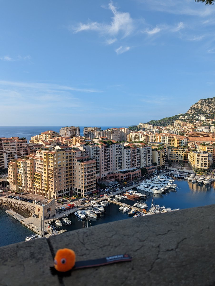 SavientBugs tweet media