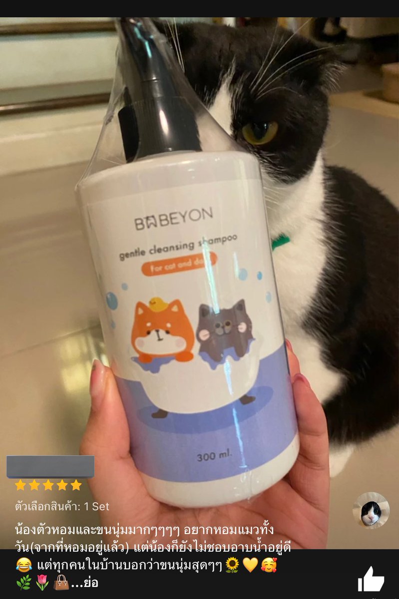 BABEYON อาบน้ำสัตว์เลี้ยง tweet media