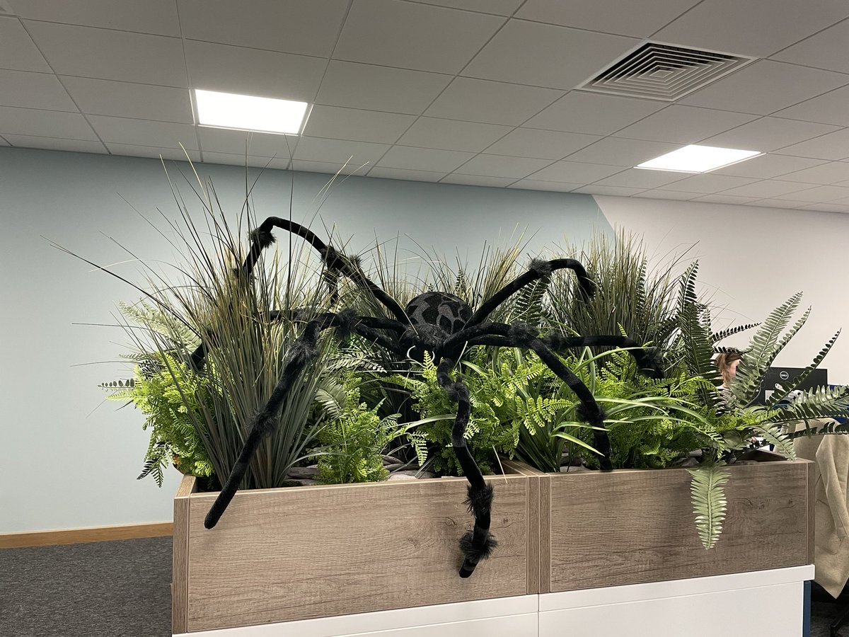 Affinity tweet media