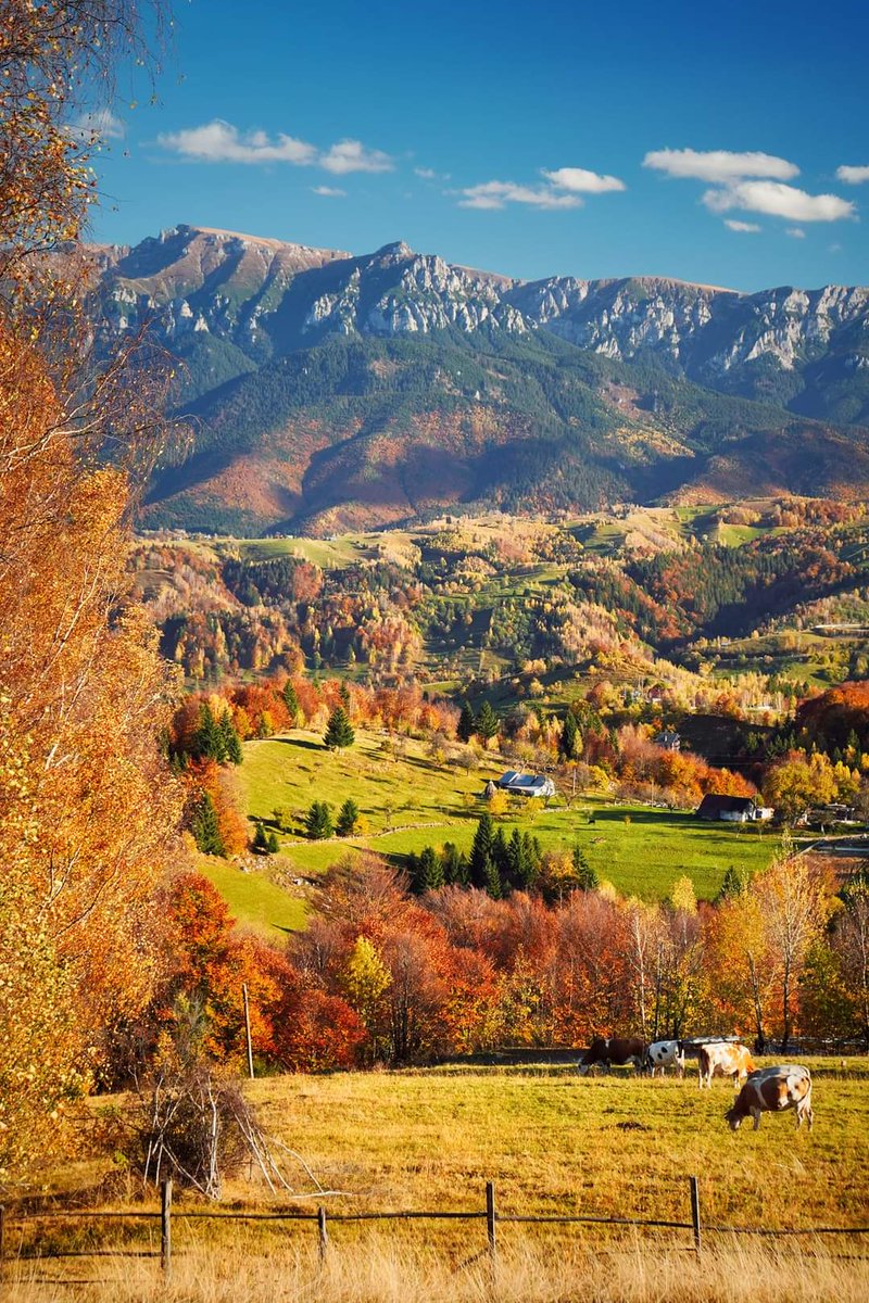 xyzwtf_55's tweet photo. Autumn heaven.. 🍂🍁
#photography
#photographer
#pestera🇷🇴 https://t.co/OGauUcQHe5