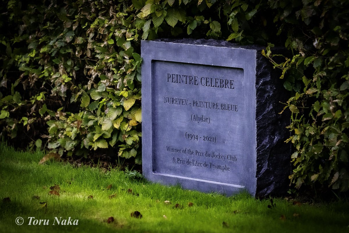 2023.10.18 Coolmore Stud
RIP Peintre Celebre

🇮🇪旅の最大の目的の1つだった #パントルセレブル の消息確認。Castlehydeにて種牡馬引退したので、功労馬として存命のはずと思い尋ねてみたら、3年前にこの世を去っておりました。これは墓標ではなく石碑ですが、改めてご冥福をお祈りします。#海外競馬