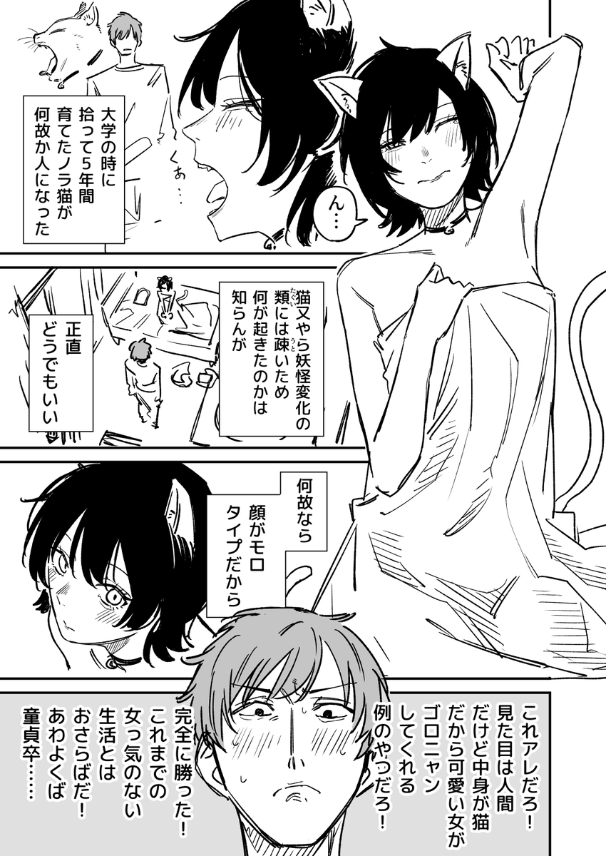 飼い猫が女の子になるパターンの話