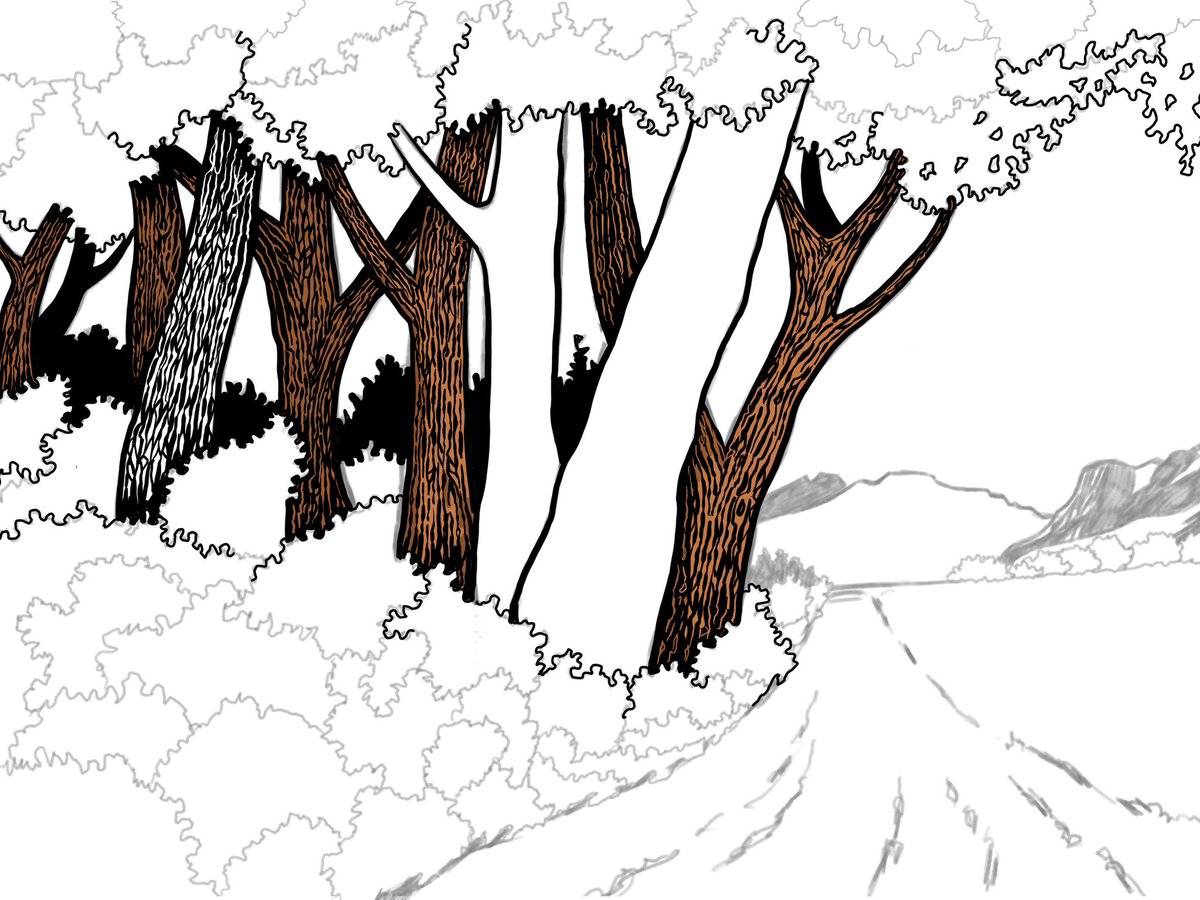 Steve Bee tweet media