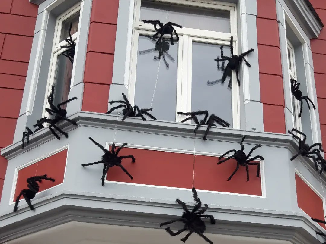 Da 🚲 man relaxt die Straße entlang und dann AAAAHHHH
#Halloween