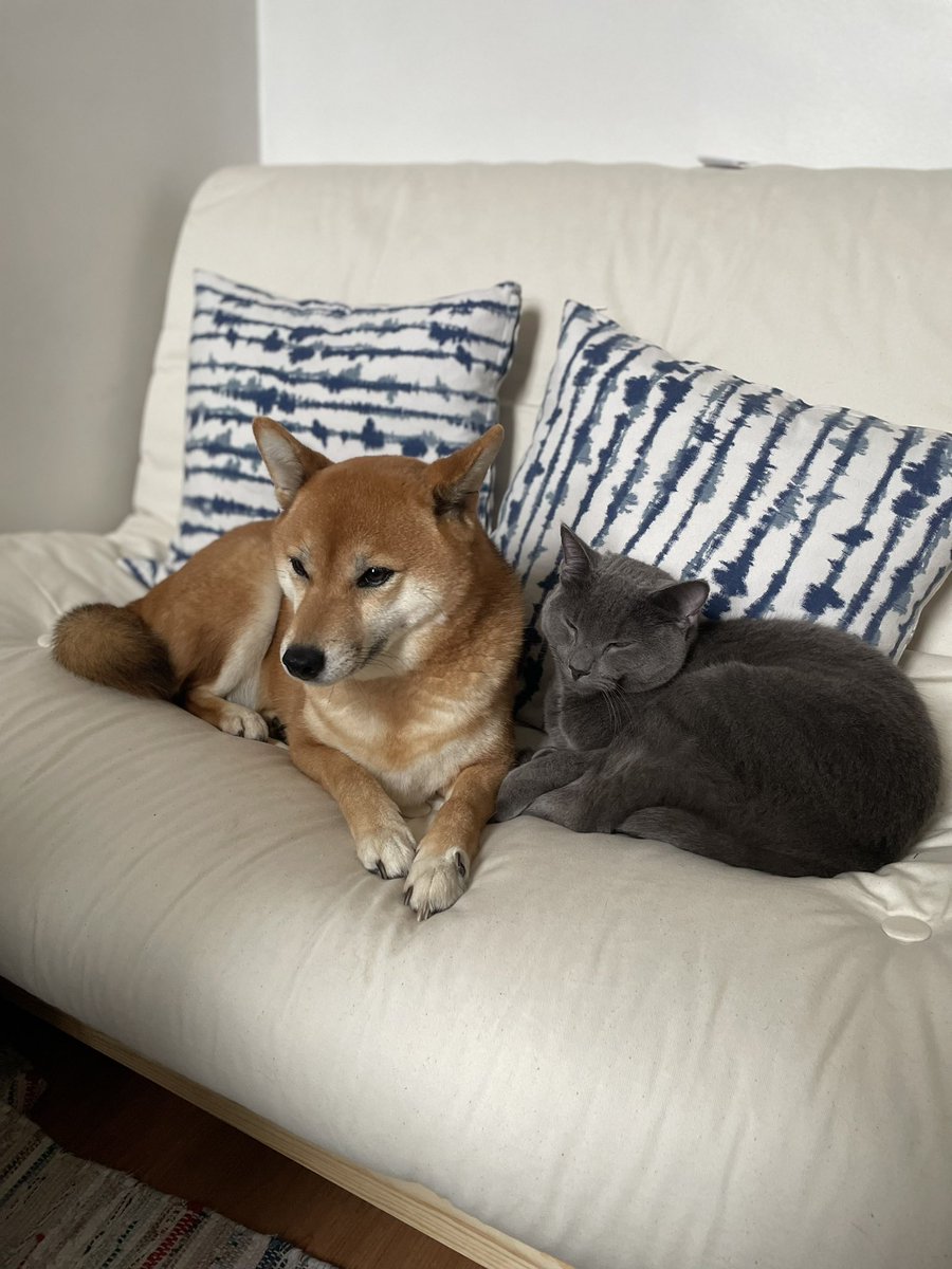 Trisa Triandesa (@trisatriandesa) on Twitter photo 