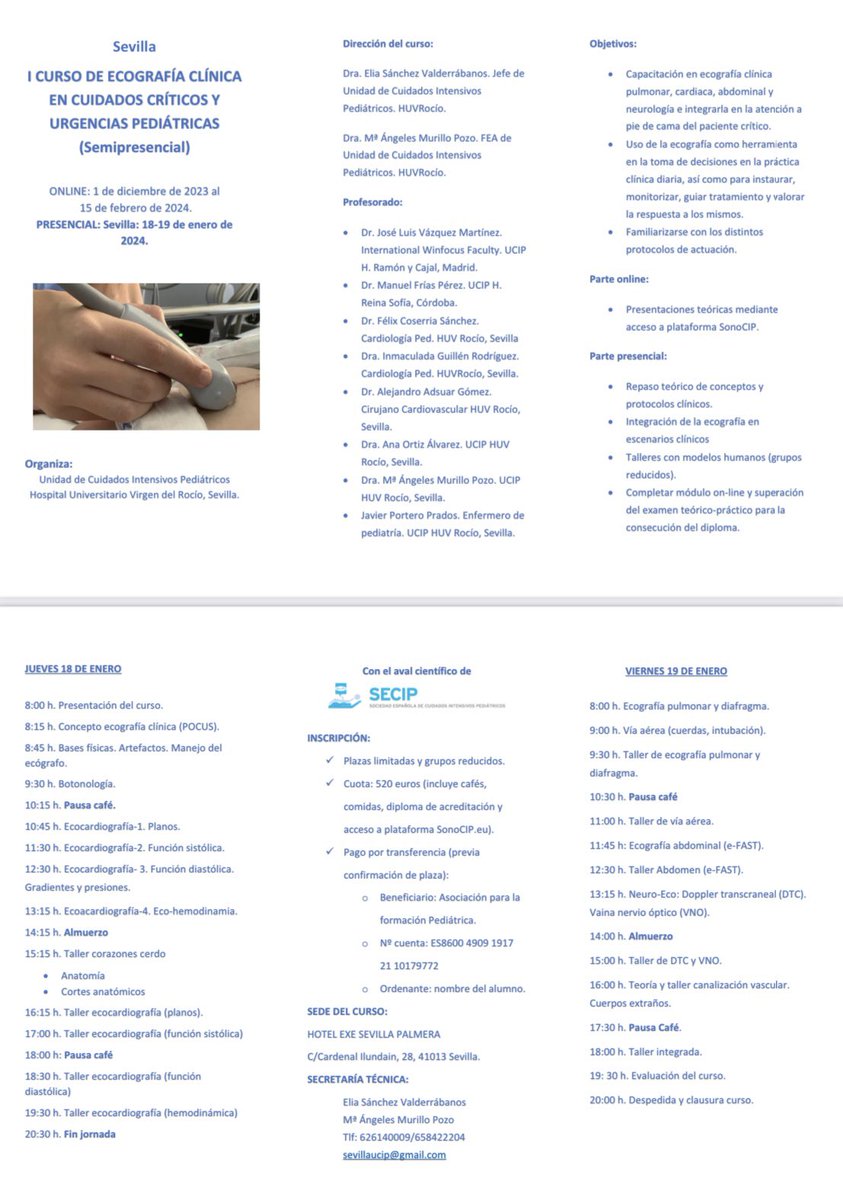 👏🏼 Los días 18 y 19 de enero de 2024 en Sevilla, fase presencial del “I CURSO DE ECOGRAFÍA CLÍNICA EN CUIDADOS CRÍTICOS Y URGENCIAS PEDIÁTRICAS”. #POCUS . Grupos reducidos con numerosos talleres prácticos. Cuenta con el aval de @lasecip . Gracias a @CipSono 🫶🏼. #UCIPOCUS 🚨🫀🫁🧠