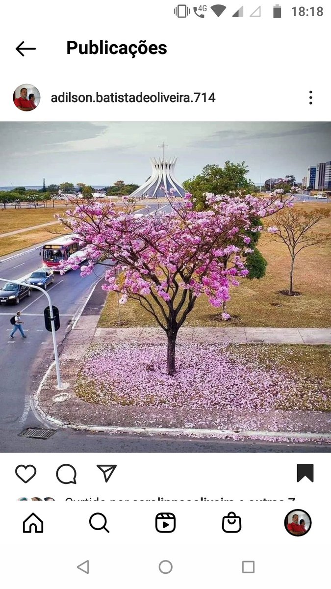 Bom dia abençoada terça feira pra todos ❤️🙏