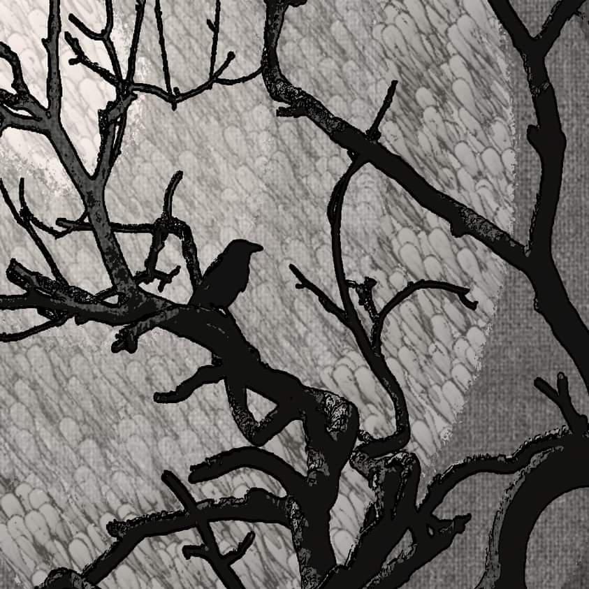 Gary Rimmer (@rimmergary) on Twitter photo 