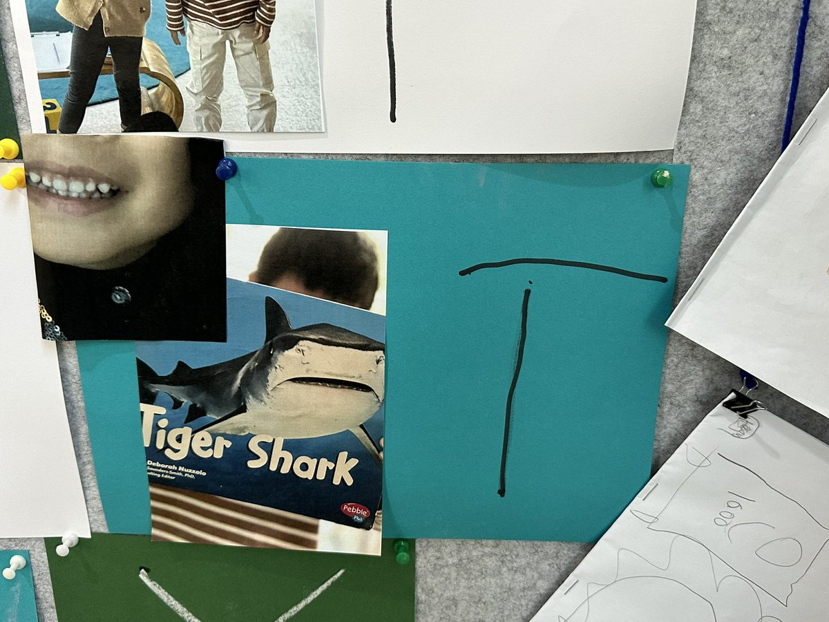 Jackie Becher tweet media