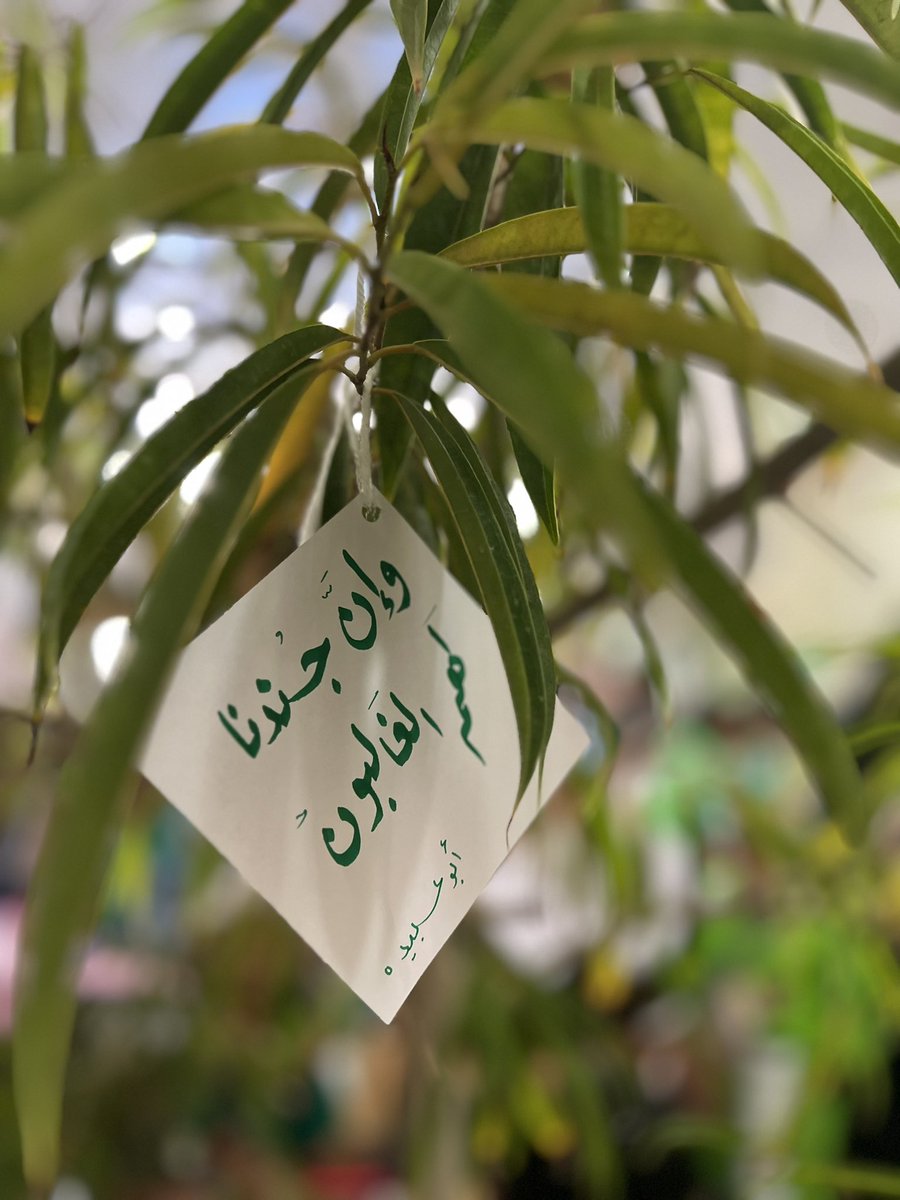 fstqa31's tweet photo. مقتطفات من فعالية يوم الشجرة 🌱
#يوم_الشجرة 
@SQUCOFFEE 
@AMSS_SQU https://t.co/AUqoKk9jc0
