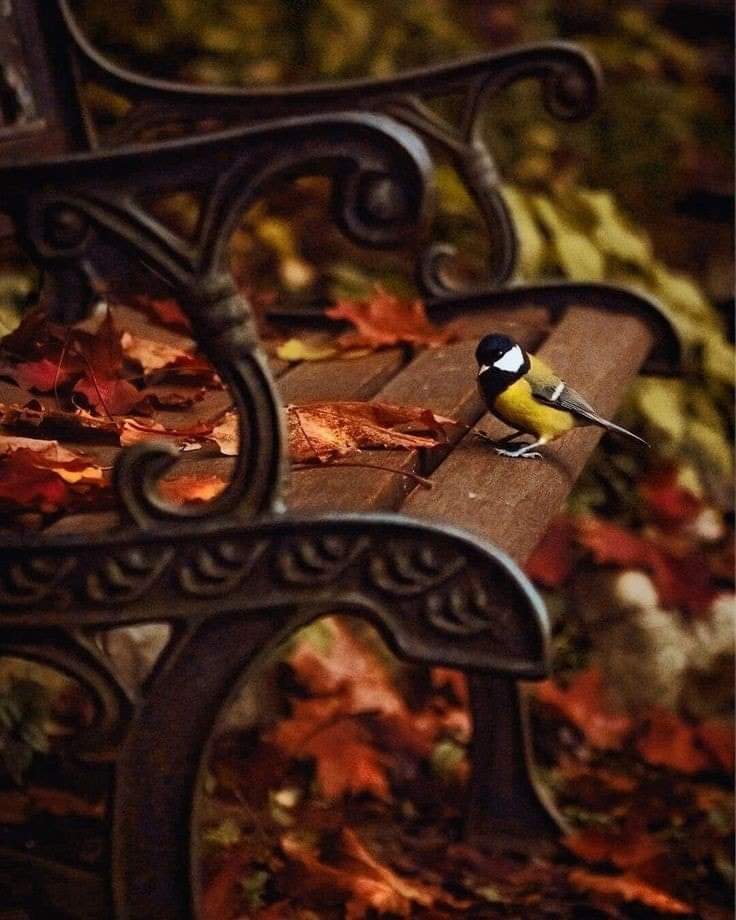 Little Princess Mom tweet media