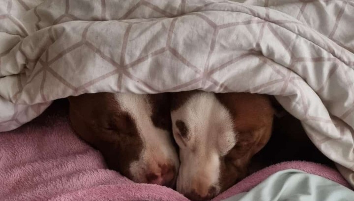 Baphela "Bantu" amakhaza Leeeee Bree heeeey ngoba futhi!! Haaaaaay ning'hlulile sngalwanga