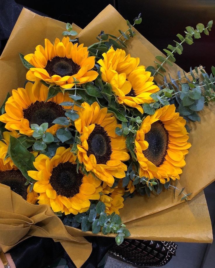sunflowerchives's tweet photo. happy sunflowers 🌻 https://t.co/AhdQYP3GoI