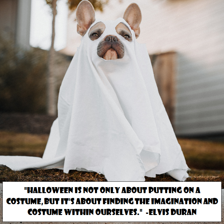 My #Halloween #QuoteOfTheDay / #QOTD for October 31.

'Halloween is not only about putting on a costume, but it's about finding the imagination and costume within ourselves.'
-Elvis Duran

(image credit: @karsten116 on unsplash.com)