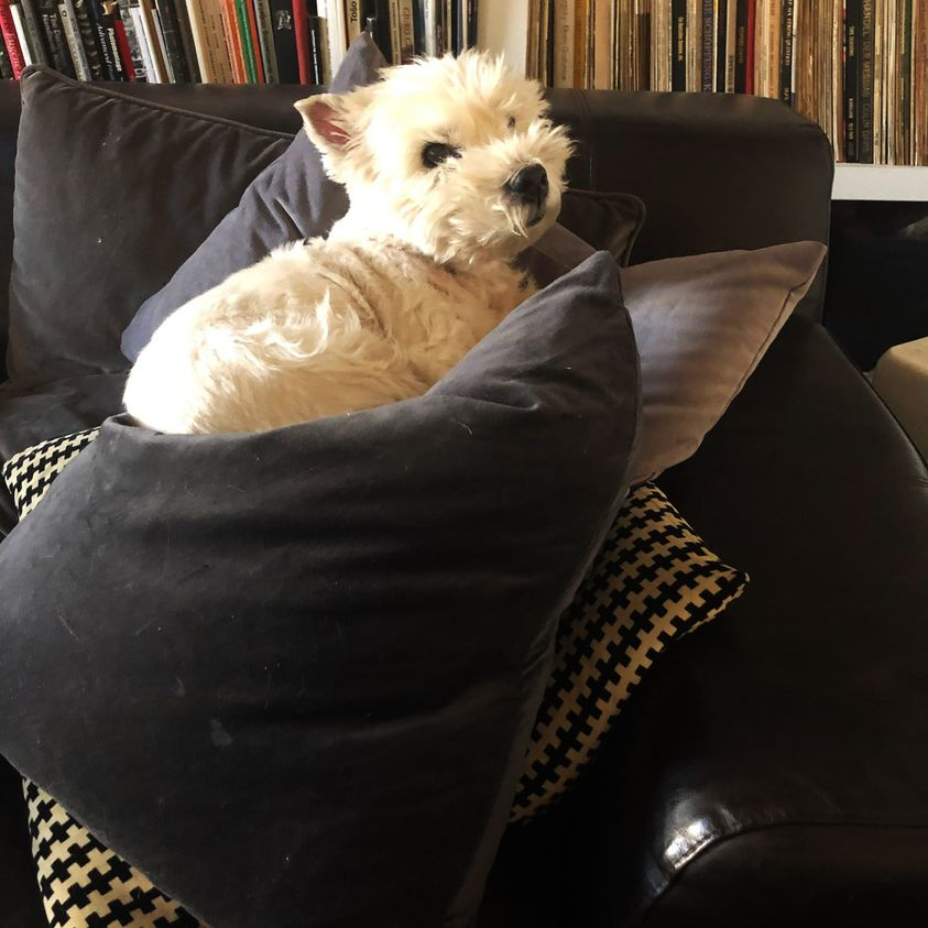 Sometimes the gift of love is the hardest gift in the world. Farewell, my dearest little friend, you are living a gaping hole I still do not know how I will feel. Love you forever!