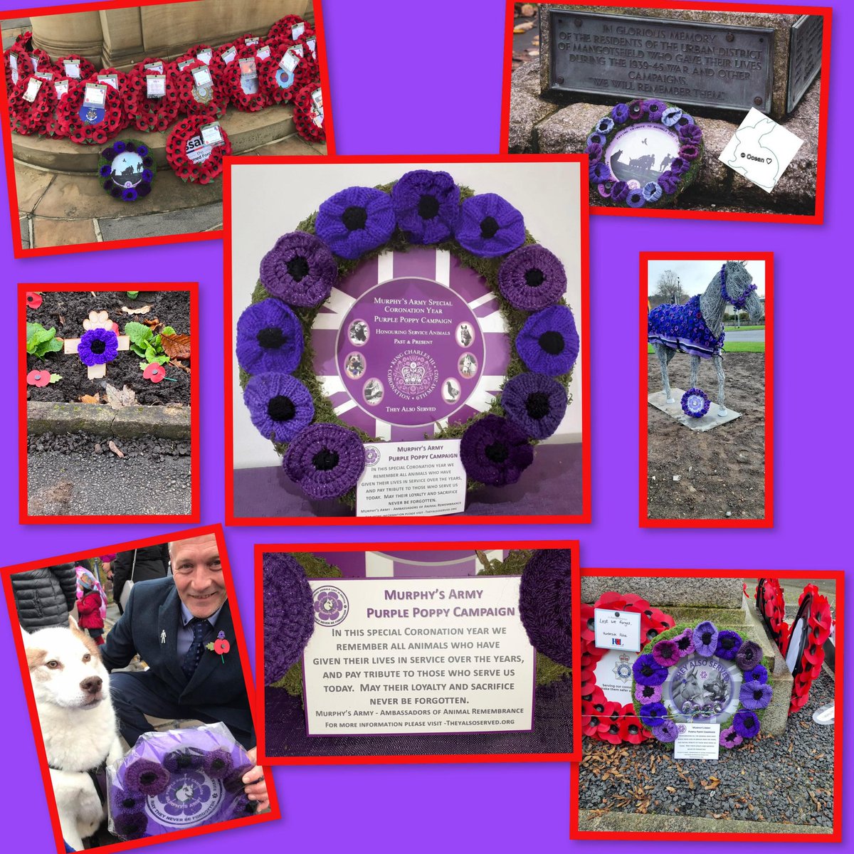 Murphy's Army tweet media