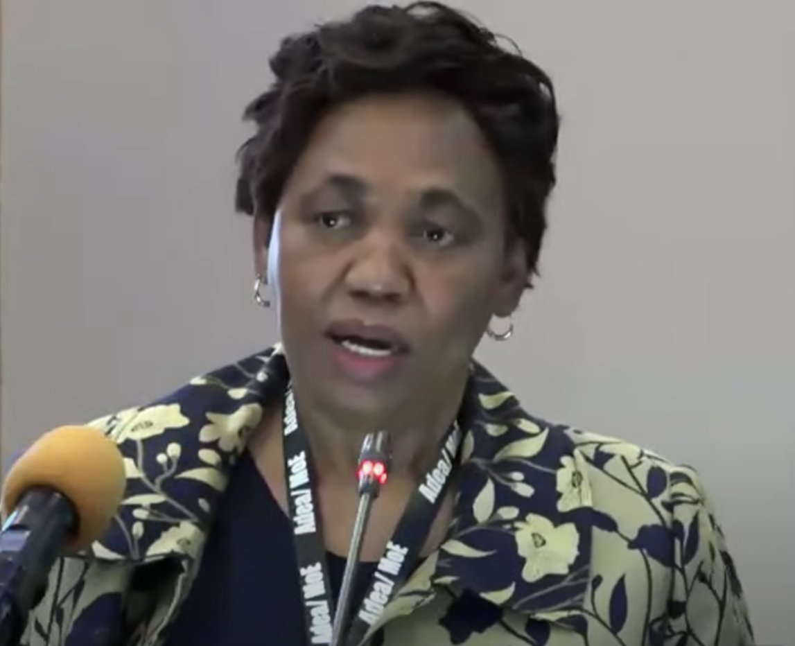 Happening Now: ADEA 2023 HLPDF on Foundational Learning: "You cannot build a four room foundation house and expect a mansion, it will not work. Let's sort out our foundations for learning"~ Hon Minister Angelina  Motshekga - South Africa