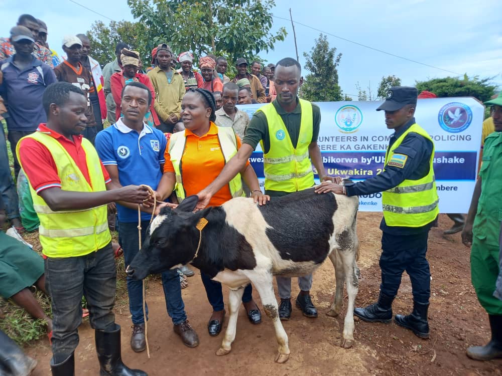 RYVCPGakenke's tweet image. #youthvolunteersMonth:Uyu munsi @GakenkeDistrict hasojwe ukwezi kwahariwe ibikorwa by'ubukorerabushake aho Urubyiruko rw'abakorerabushake @RYVCPGakenke bakurungiye #inzu y'umuturage utishoboye bakanatanga #Inka @jnabdallah @KubanaRichard @RwandaLocalGov @DUNIASaadi1 @Rwandapolice