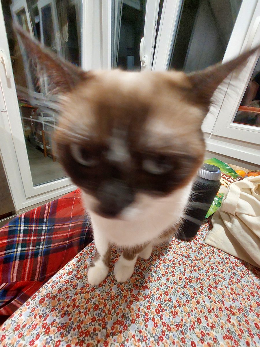 iksone ☆ tweet media