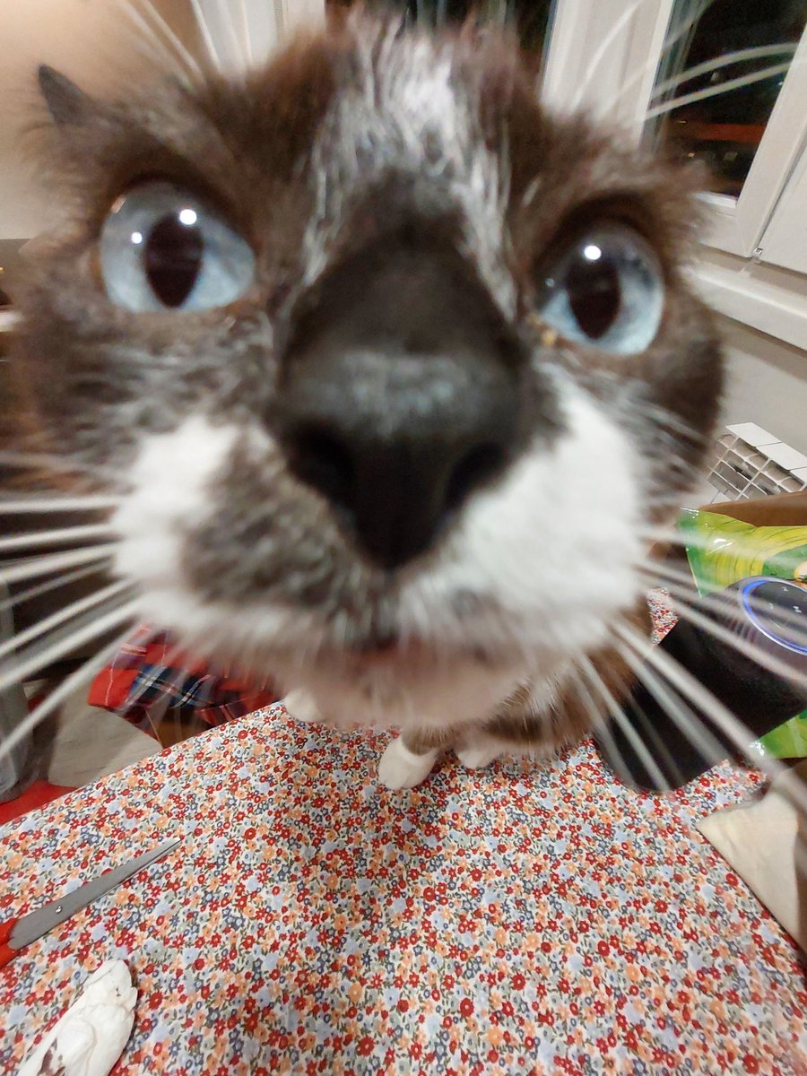 iksone ☆ tweet media