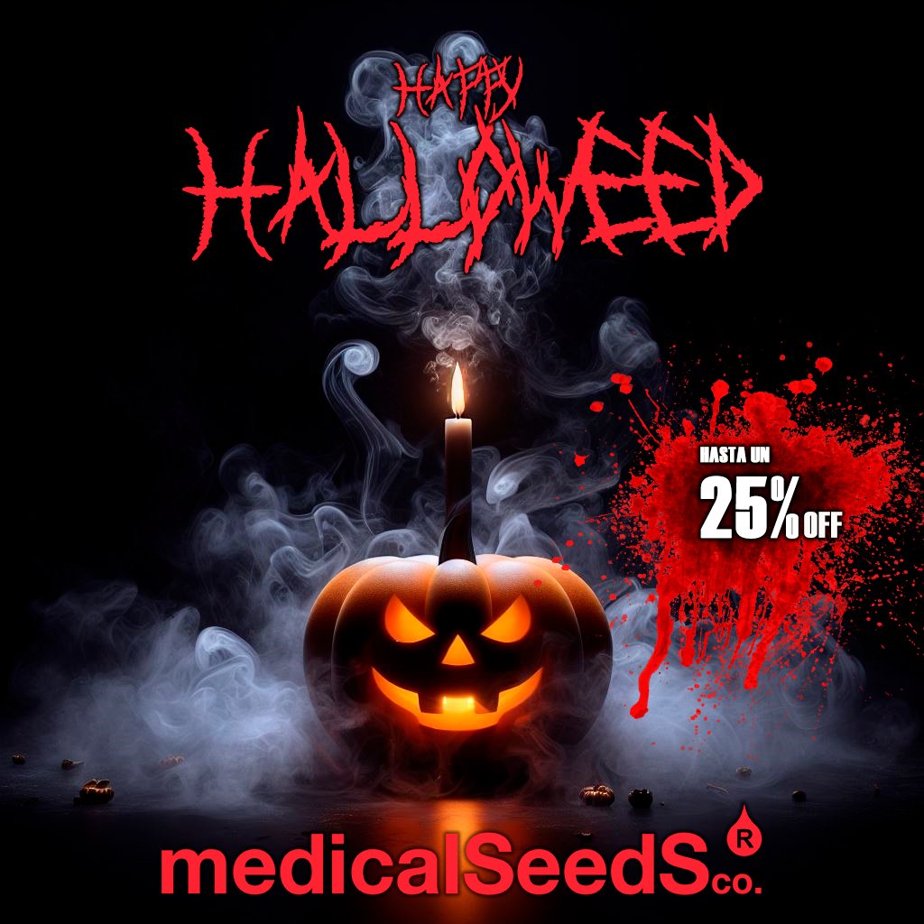 📷Halloweed en medicalSeedS 📷
.
📷 Hasta el día 2 disfruta de un descuento del:
.25% en packs de semillas de 3, 5 y 10.
.20% en mallas de extracción
.20% en todas las camisetas
.10% en nuestras piezas para dabbear
corre que vuelan! 📷
.
medicalseeds.net