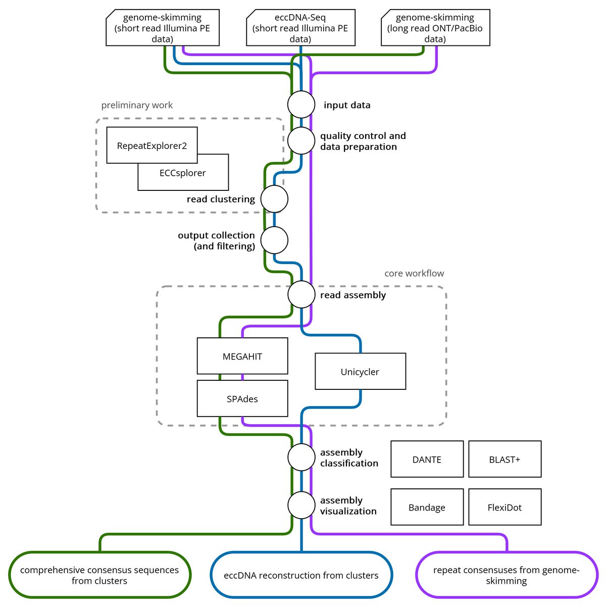🧬💚New preprint out, led by Ludwig (<a href="/crim_bubble/">LMann</a>) and our fresh MSc graduate Kristin:

🧬📈Reliable #repetitiveDNA consensus sequences from short reads -- do they exist and how can you do them? Can newer genome assembly tools help?

find out: doi.org/10.1101/2023.1…
