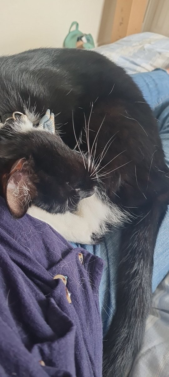 Emily Rose Wenman tweet media