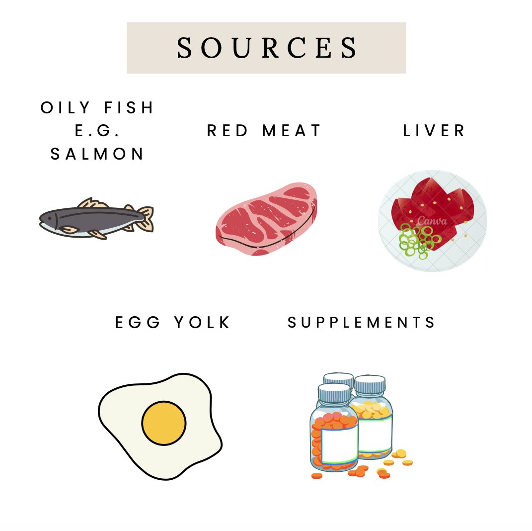 siobhan_phn's tweet photo. As we enter the colder months, Vitamin D intake is important!

#nutrition #vitamind #vitaminddeficiency #nutritionstudent #vitamins #healthytips https://t.co/UQcj9DREoR