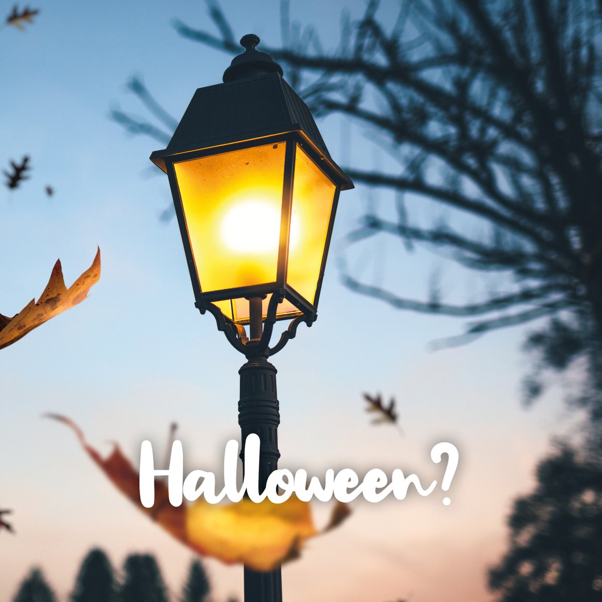evangelisatiegg's tweet photo. #HALLOWEEN // Wat vier jij vandaag? Een 'feest' met grijnzende pompoenkoppen en griezelige heksen? Is Halloween wel zo onschuldig als het lijkt? Bekijk de video op https://t.co/B0qBtN3wRM
#HelloLight #Happyween #Licht #Leven #Bijbel https://t.co/nOFrQWDW7a
