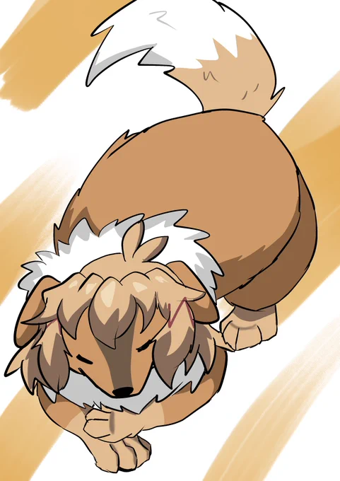 犬花