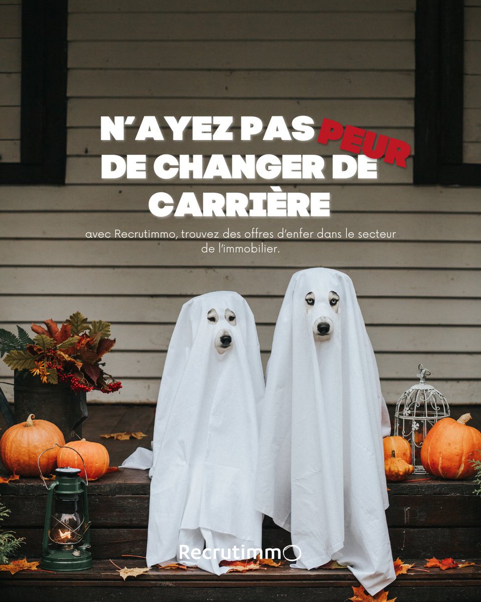 🎃👻 Joyeux Halloween, chers candidats  ! 

Pas de quoi avoir peur aujourd'hui, sauf si vous manquez nos offres d'emploi effroyablement géniales sur Recrutimmo ! 😉 

Venez, si vous l'osez, et trouvez la carrière de vos rêves. 💼🕷

 #HalloweenJob #Recrutimmo #EmploisEffrayants