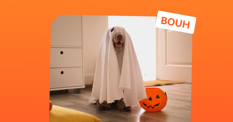 Sowee_Officiel's tweet photo. #MardiConseil La #maisonconnectée, rien que d'y penser, cela vous donne la chair de poule ? 👻 Passons en revue vos craintes pour (essayer) de leur tordre le cou ! 👉 https://t.co/dwFMFcU7y7 #domotique #smartobject #Halloween2023 https://t.co/HxPdkejclV