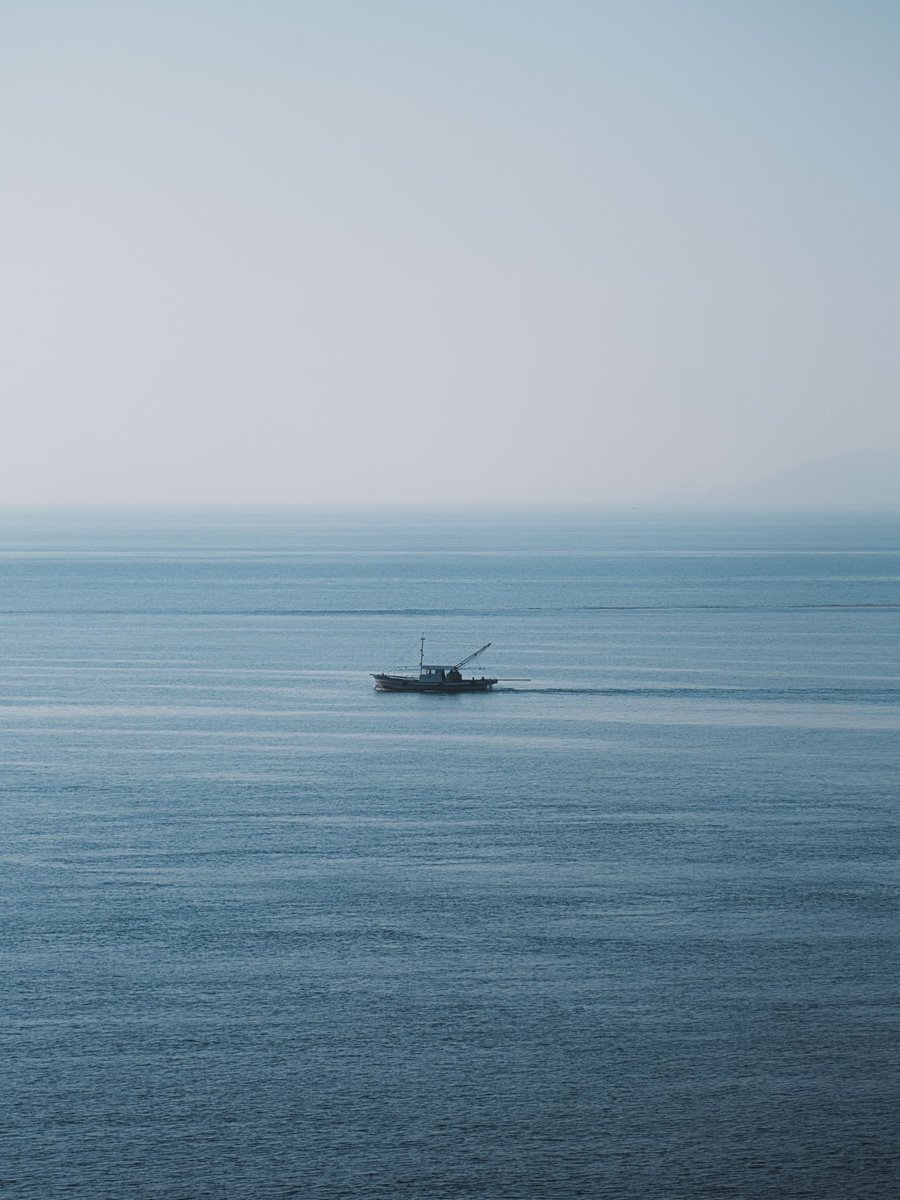 横尾 涼@Photoli tweet media