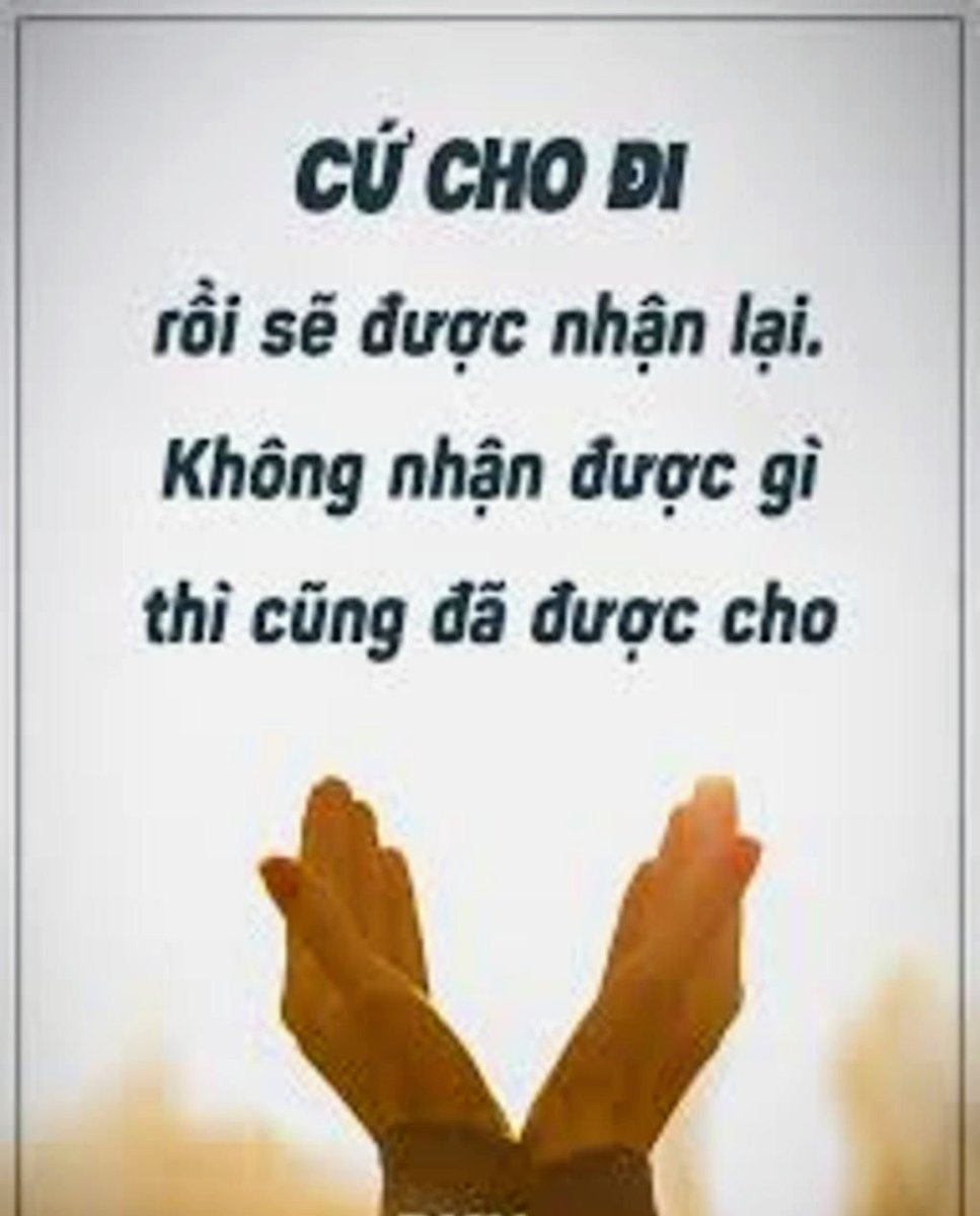 Hoàng Hữu Phúc | Kelvin tweet media