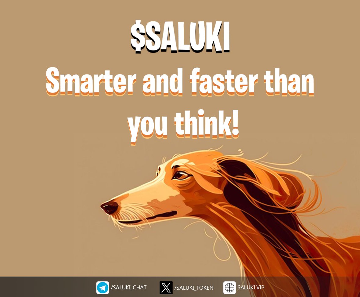 saluki tweet media
